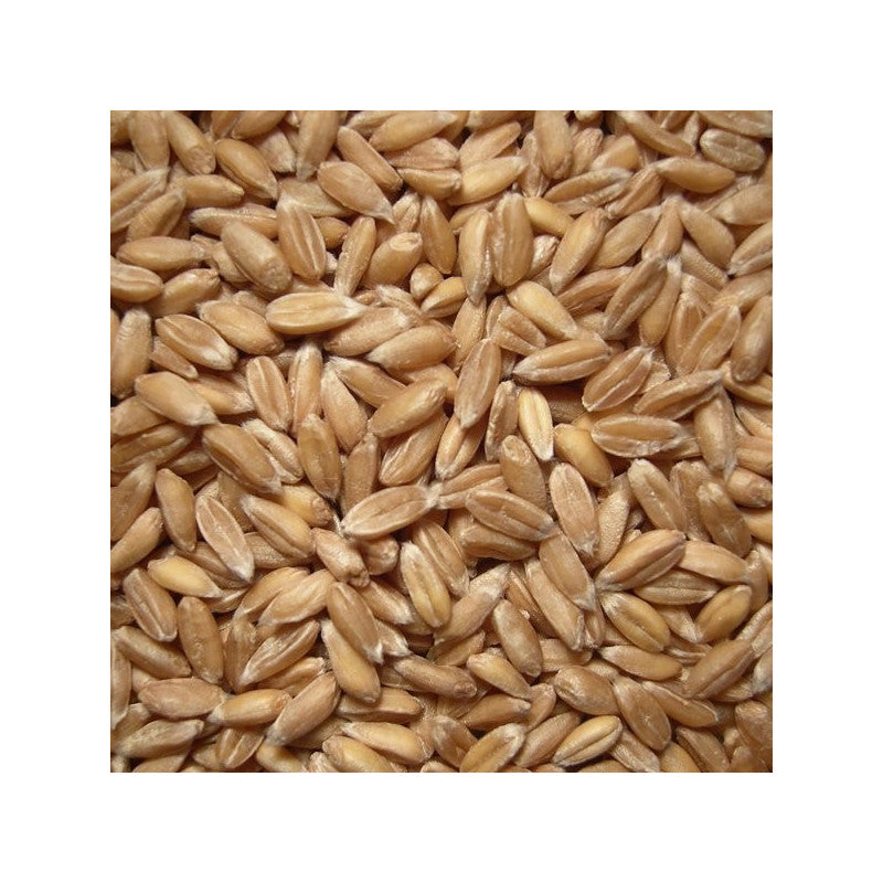 7,5kg BIO Dinkel (DE-ÖKO-006)