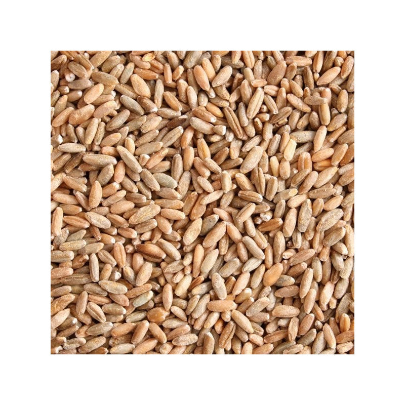 7,5kg BIO Roggen (DE-ÖKO-006)