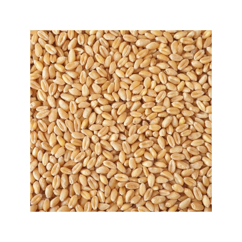 7,5kg BIO Weizen (DE-ÖKO-006)