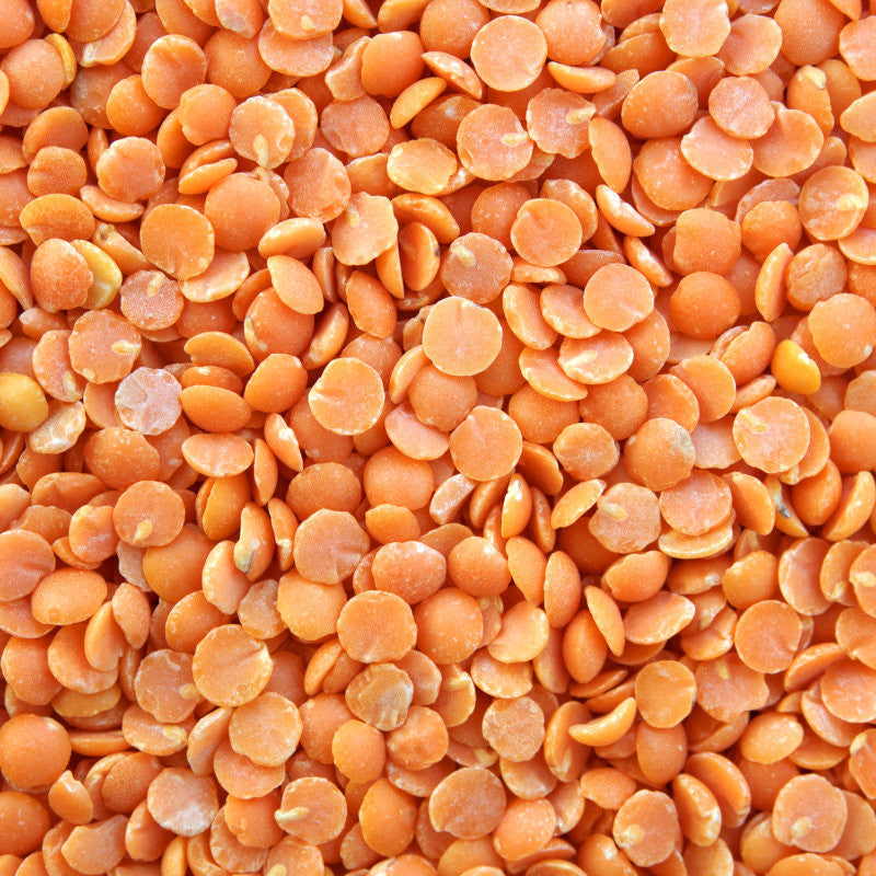 CONVAR™ Feldküche Basics Rote Linsen (350g) 15x